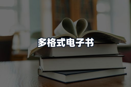 多格式电子书
